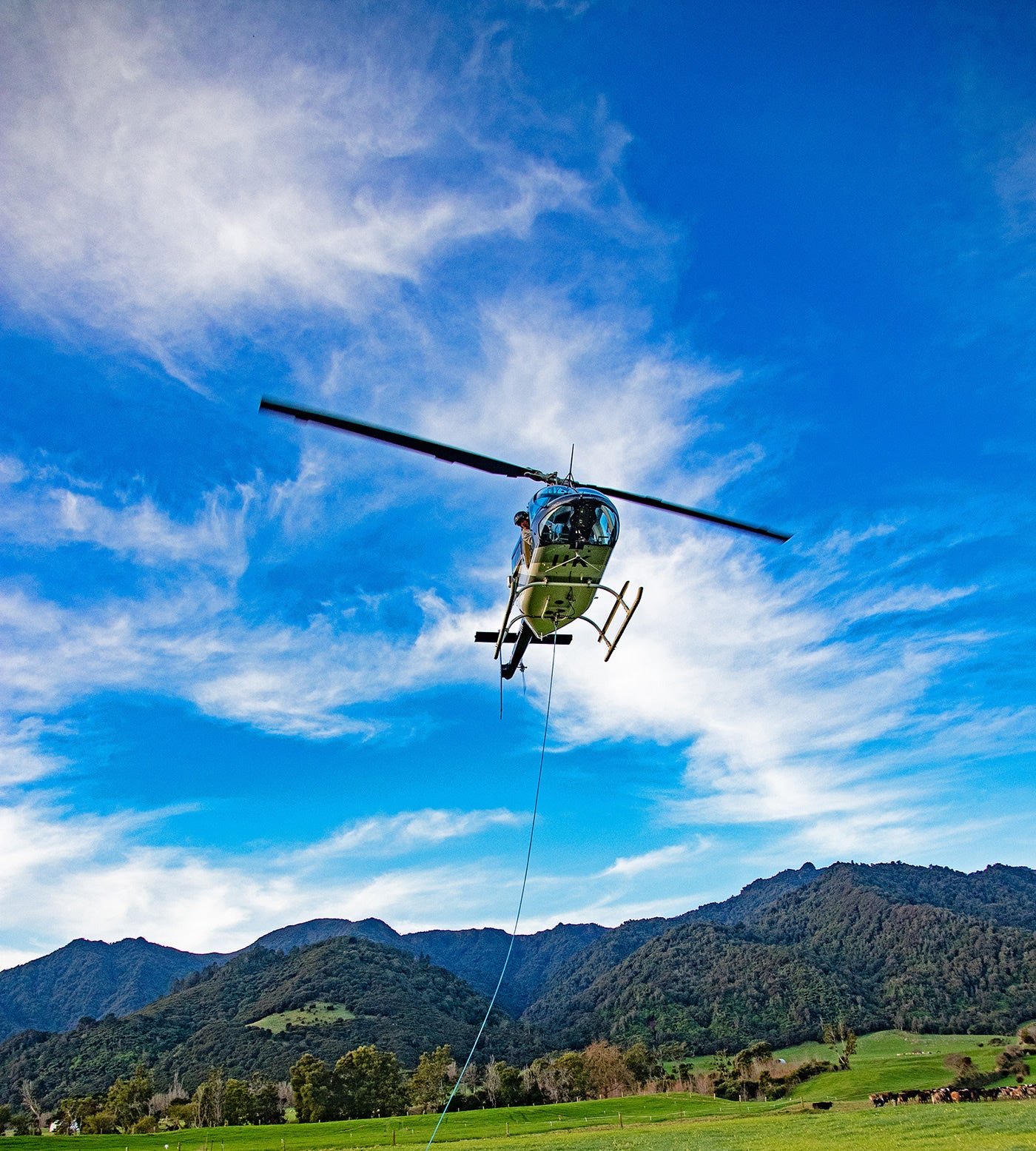 Case Study: Developing a Customised Bulk Packaging Solution