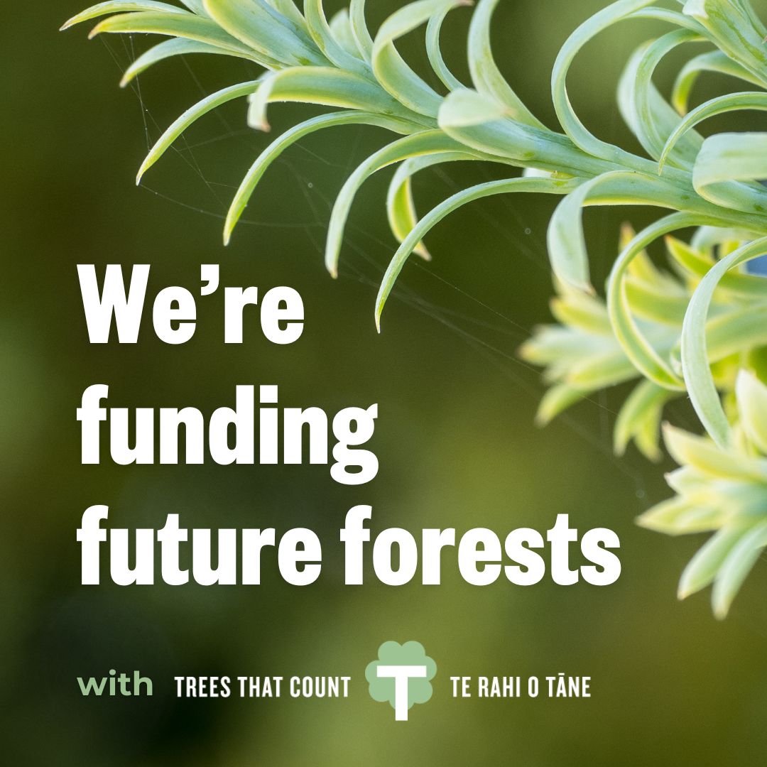 Trees That Count